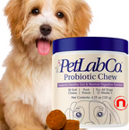 Probiotics for dogs, support for gut health