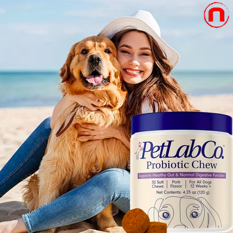 Probiotics for dogs, support for gut health