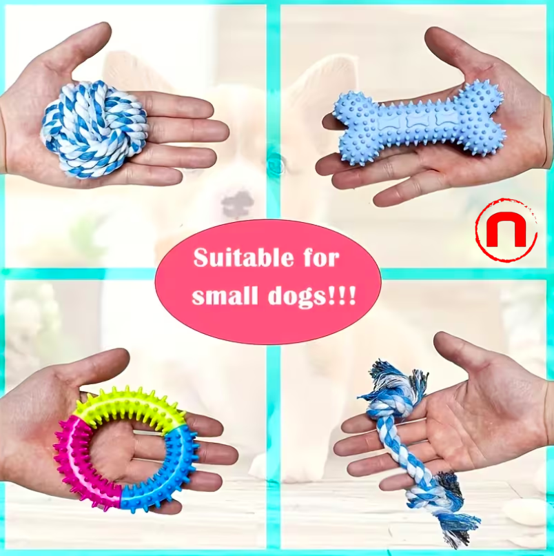 Set of 5 dog chew toys