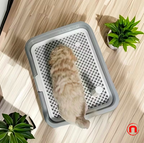 Flat dog toilet