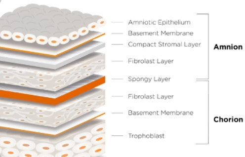 AMNIOTIC MEMBRANE "PATCHES"