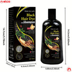 Champú Tinte para Cabello Negro Levin Water Ice