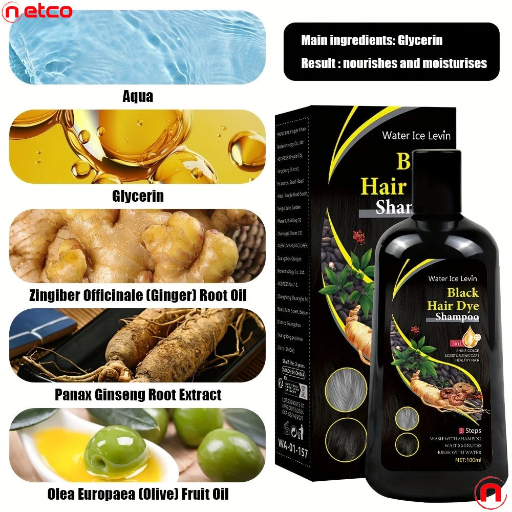 Champú Tinte para Cabello Negro Levin Water Ice