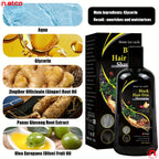 Champú Tinte para Cabello Negro Levin Water Ice