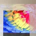 Projection Screen Fabric (HD - 4K)