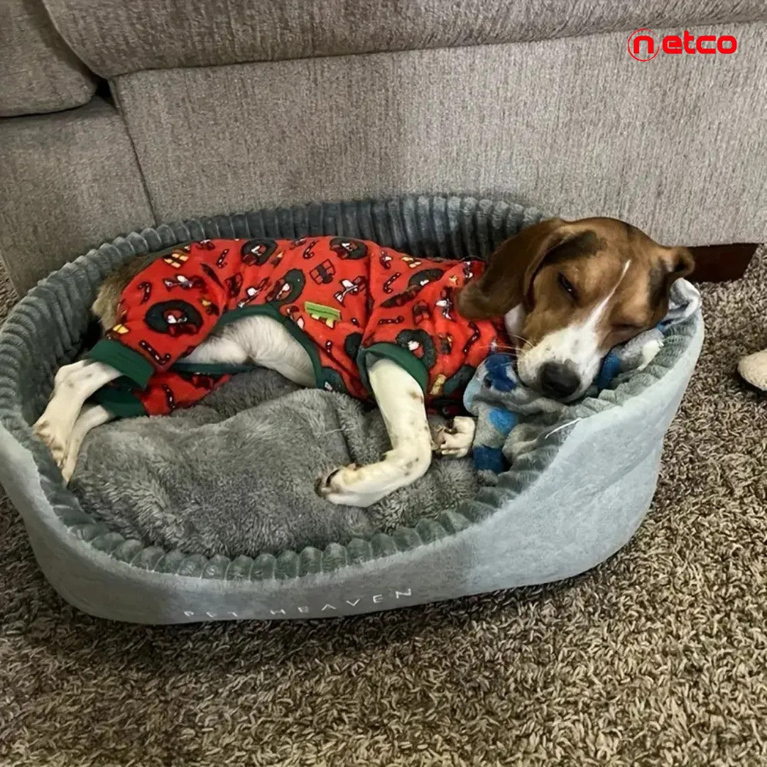 Oval Plush Pet Bed: XL Comfort for Your Furry King or Queen