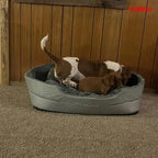 Oval Plush Pet Bed: XL Comfort for Your Furry King or Queen