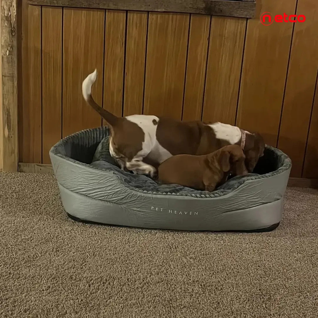 Oval Plush Pet Bed: XL Comfort for Your Furry King or Queen