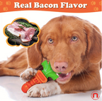 Carrot-Shaped Chew Toy for Dogs – Durable Nylon Fun