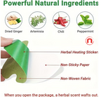 Wormwood Knee Patches – 67 PCS Joint Support Patches