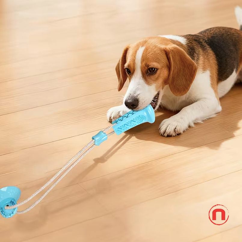 🐾 Interactive Dog Chew Toy with Treat Dispenser