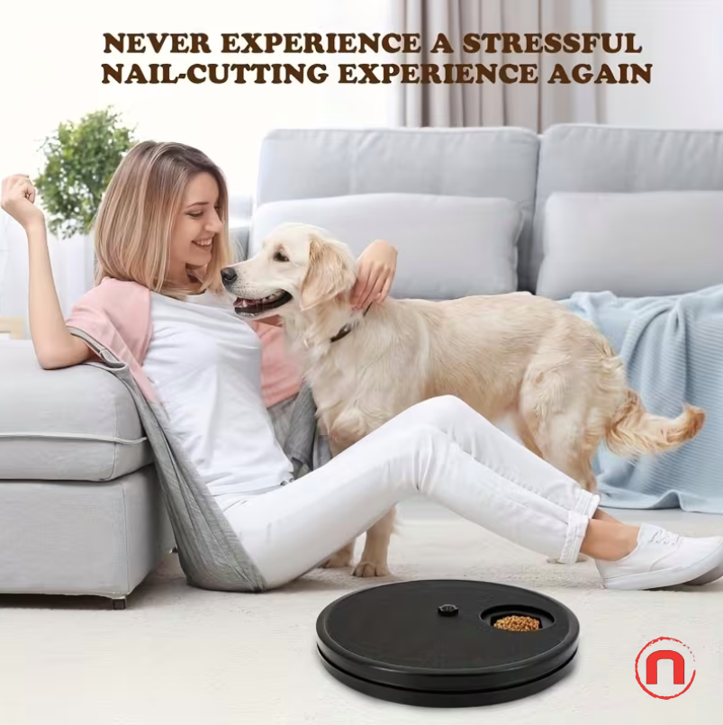 🐾 3-in-1 Dog Scratch Board