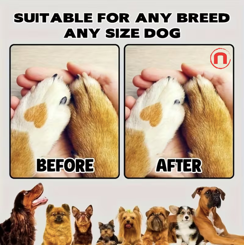🐾 3-in-1 Dog Scratch Board