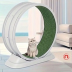 🐾 Indoor Cat Exercise Treadmill