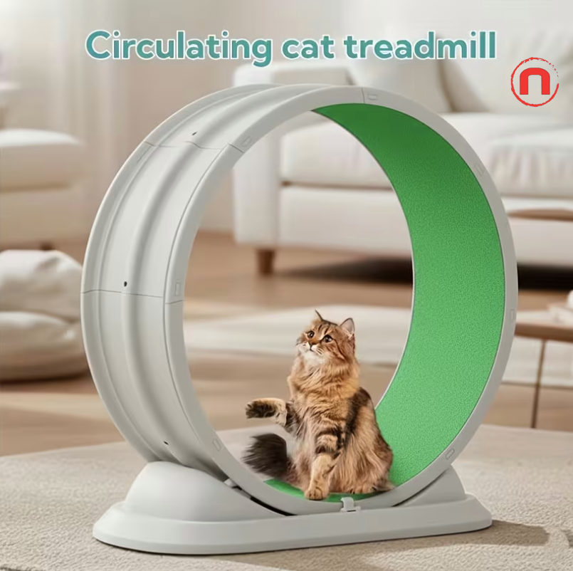🐾 Indoor Cat Exercise Treadmill
