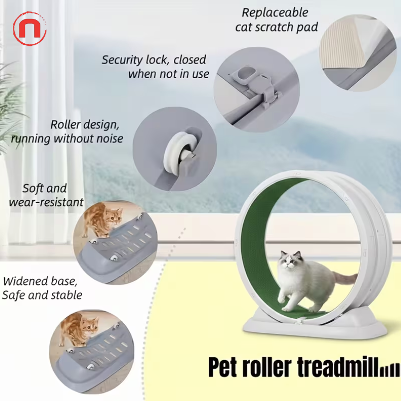 🐾 Indoor Cat Exercise Treadmill