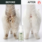 FAELUTE No-Rinse Dry Cleaning Foam for Pets 🐾✨