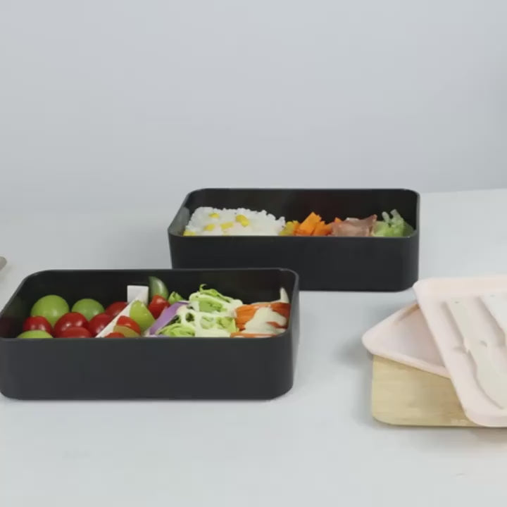 Double Layer Japanese Style Lunch Box with Thermal Bag